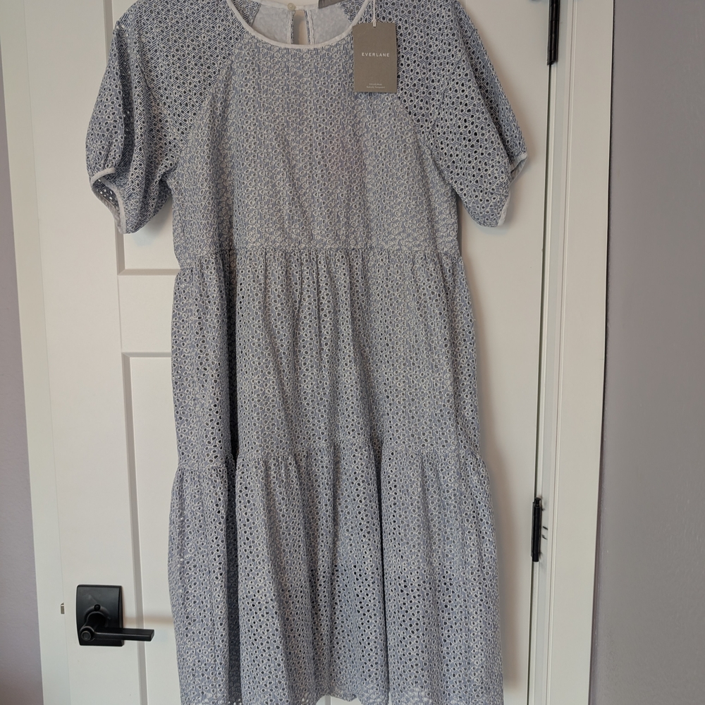 Everlane Blue and White Midi Dress
